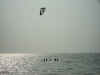 PICT4766.JPG (25692 Byte)
