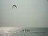 PICT4767.JPG (23068 Byte)
