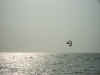 PICT4768.JPG (27719 Byte)