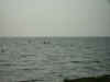 PICT4769.JPG (30708 Byte)