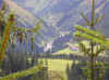 20.jpg (64002 Byte)