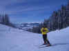 IMGP2007.jpg (24692 Byte)