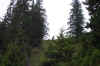 Dcp_1295a.jpg (38366 Byte)