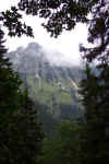 Dcp_1316.jpg (41525 Byte)